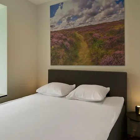 In Texel Near National Park